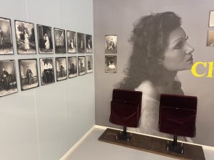 Chambre Noire, La vie dans un atelier photographique en Alsace (1880-1945)